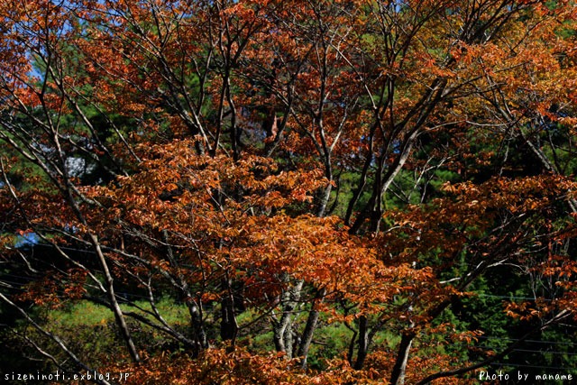 f0147858_15534650.jpg