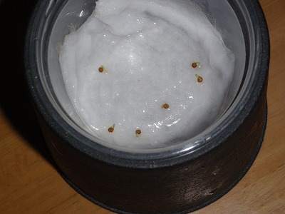 c0180460_16133210.jpg