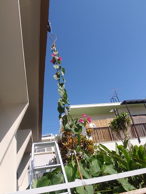 c0180460_16143920.jpg