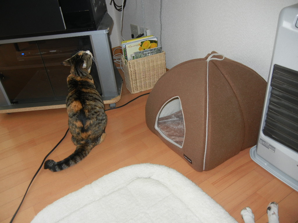 2011年10月20日(木)ストーブをつけました~!_f0060461_10521716.jpg