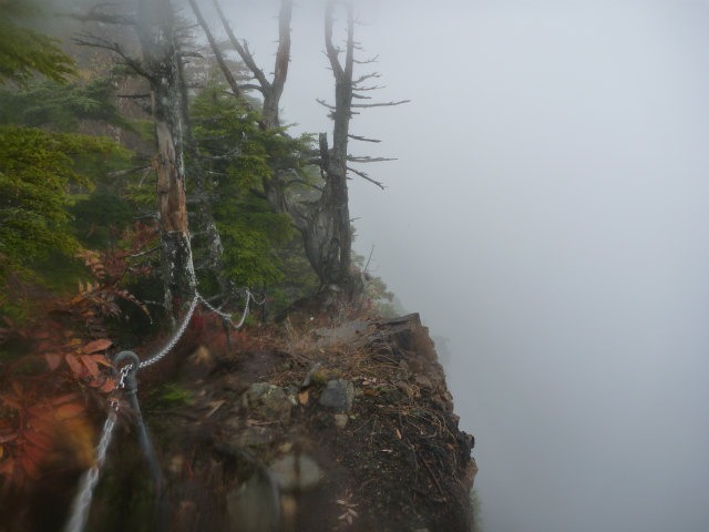d0110562_21152918.jpg
