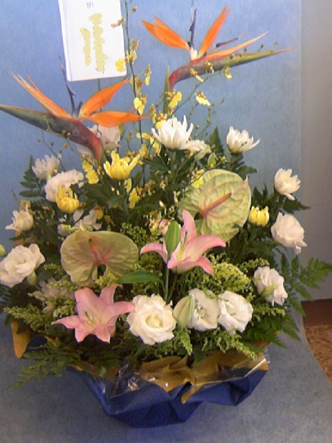 a0152665_817441.jpg