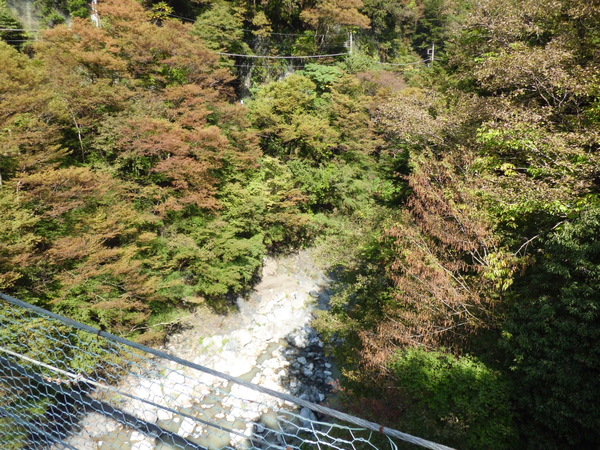 d0233866_921567.jpg