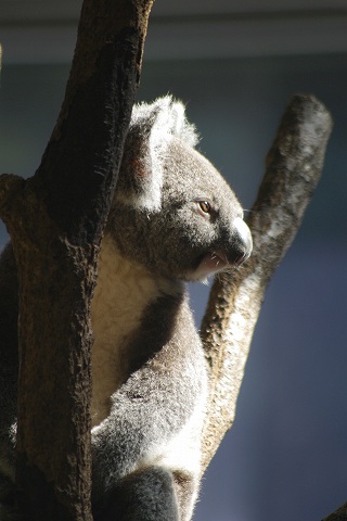 e0045768_22354863.jpg
