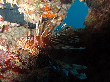 e0096370_16543952.jpg