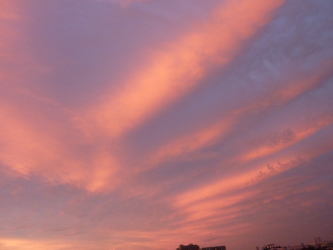 e0207477_0391593.jpg