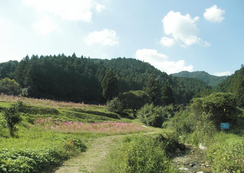 f0101679_03131.jpg