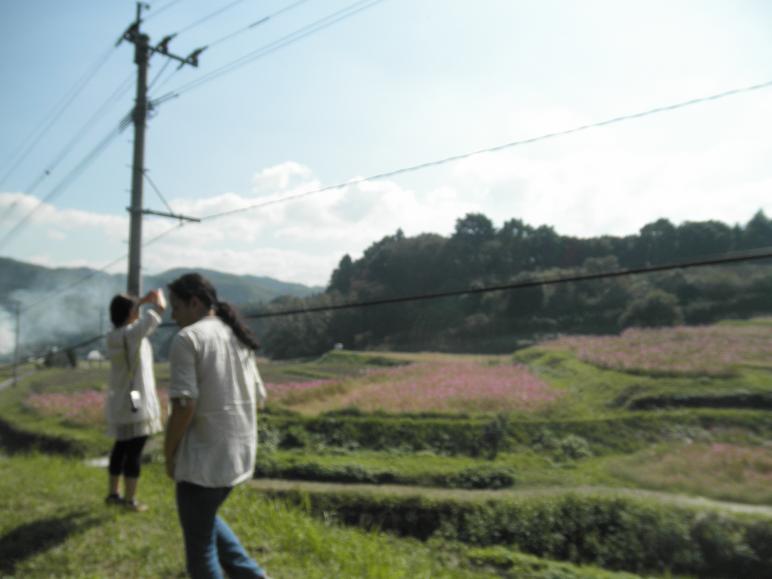 f0101679_07035.jpg