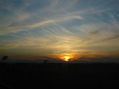 b0003280_22461655.jpg