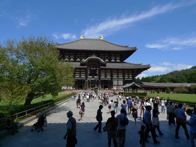 a0182281_1618325.jpg