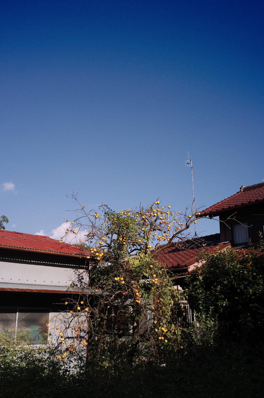 f0121181_019850.jpg