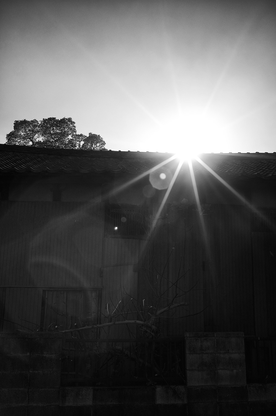 f0121181_23172882.jpg