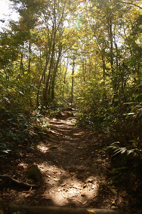 e0165983_1049529.jpg