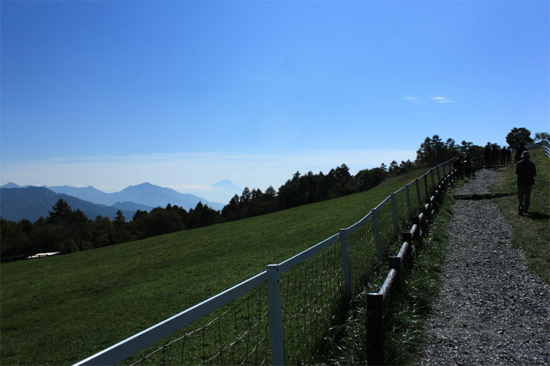 d0217090_192084.jpg