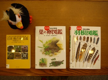 f0159390_1235627.jpg