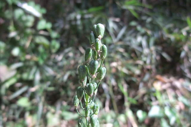 e0070891_2326303.jpg