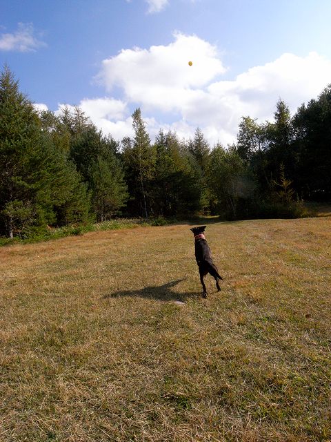 a0093592_23402717.jpg