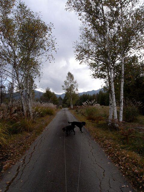 a0093592_23563514.jpg