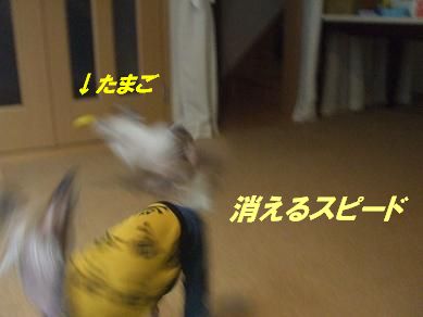 f0179203_13272433.jpg
