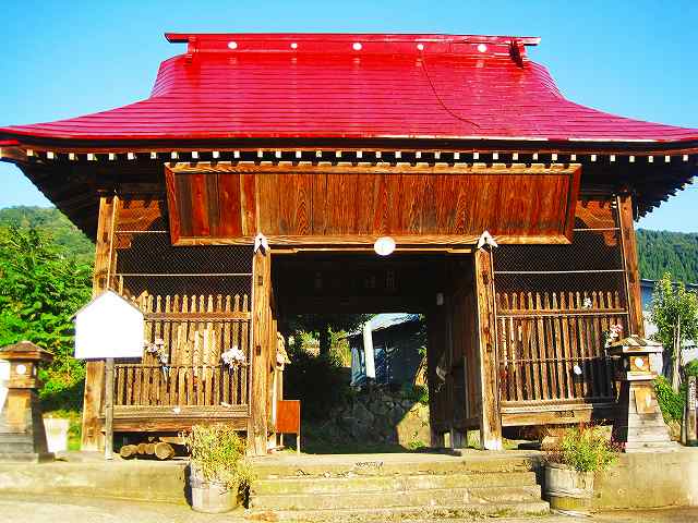 小菅神社_b0163804_8185338.jpg