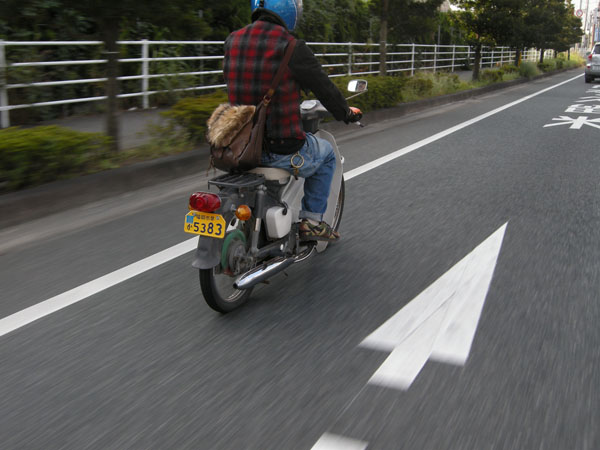 Last sunday morning. (#1)_f0161305_2031477.jpg
