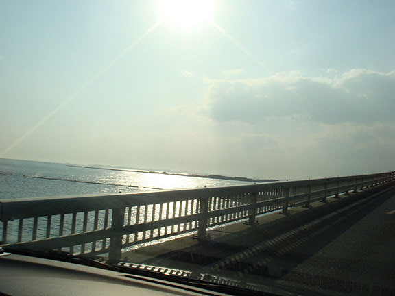 a0051606_2043716.jpg