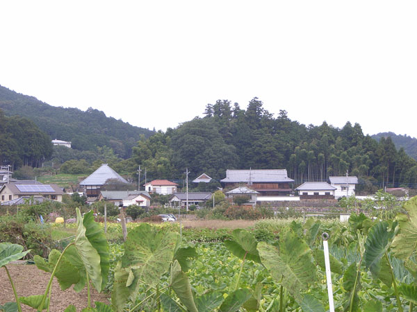 アトリエ蒼、秋のスケッチ会 2011年10月21日(金 )_b0129807_16464744.jpg