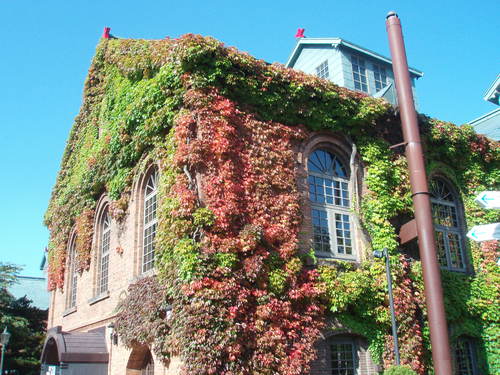 b0198109_10422225.jpg