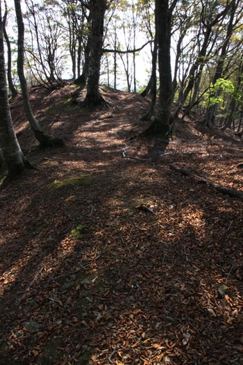 若狭駒ケ岳へ 1_e0048413_2363569.jpg