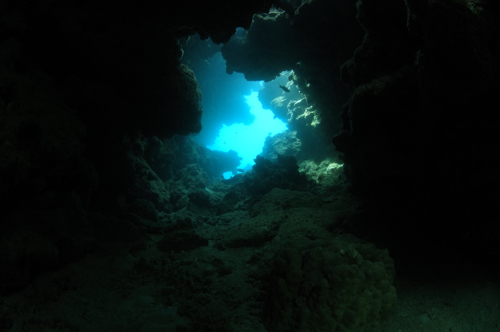b0158923_224837100.jpg