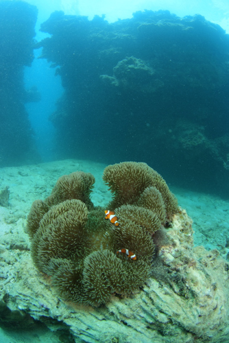 b0158923_22485765.jpg