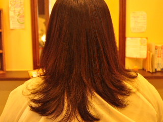 e0254028_14423452.jpg