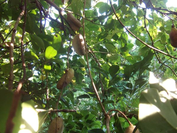 c0222430_20423136.jpg