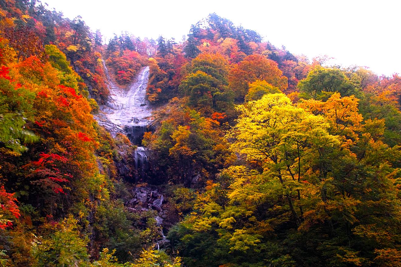 c0211639_22513298.jpg