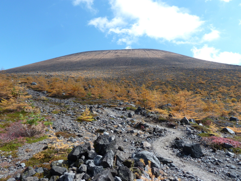 b0190242_17414915.jpg