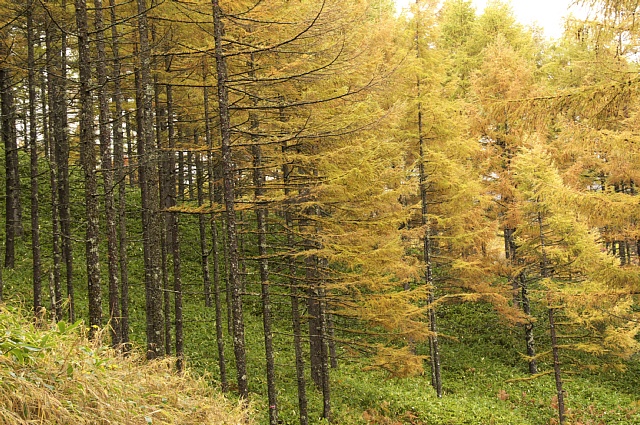 b0122448_215577.jpg