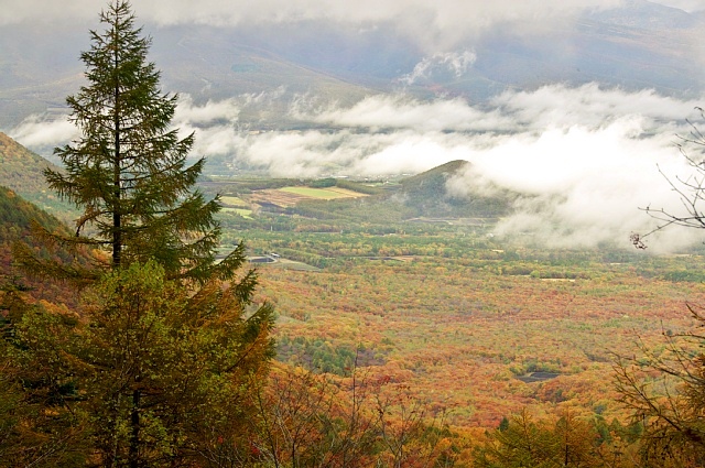 b0122448_2183147.jpg