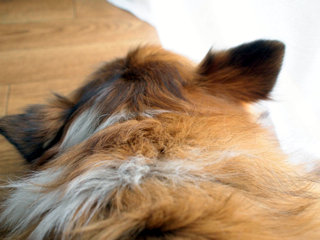 c0170957_11202227.jpg