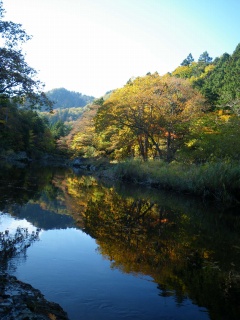 薬研渓流ひとり散歩 まさかり半島日記