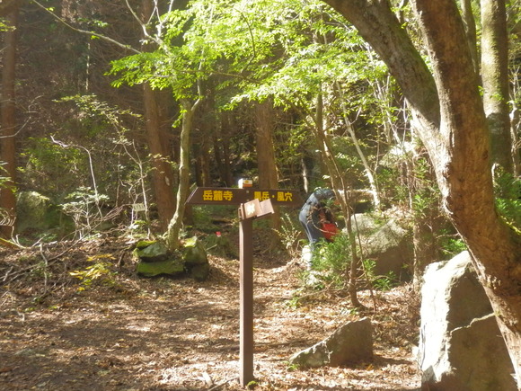 c0042869_75721.jpg