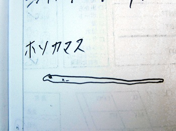 e0096370_19241366.jpg