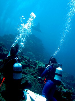 e0096370_19243786.jpg