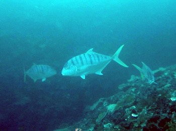 e0096370_19272478.jpg