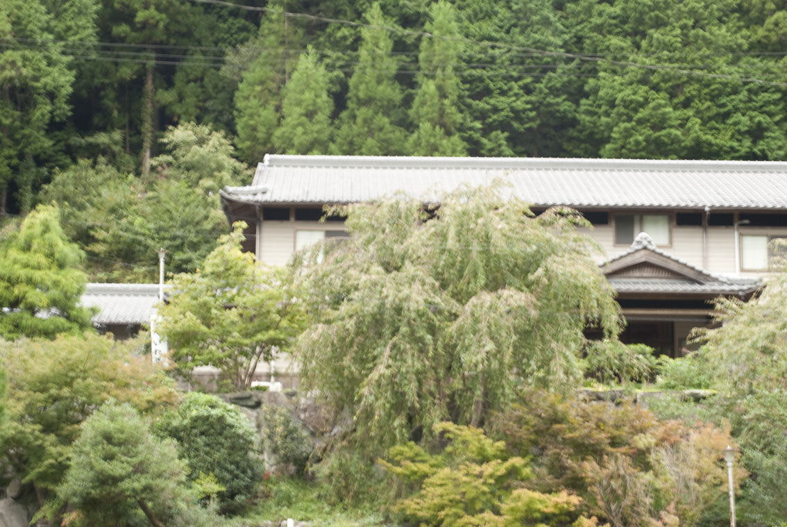 山の宿(四国歩き遍路その四)+展覧会情報_b0194880_911261.jpg