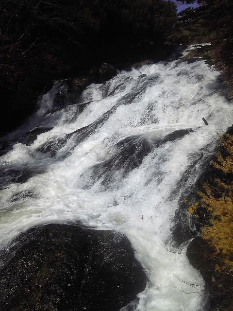 f0193680_23354220.jpg