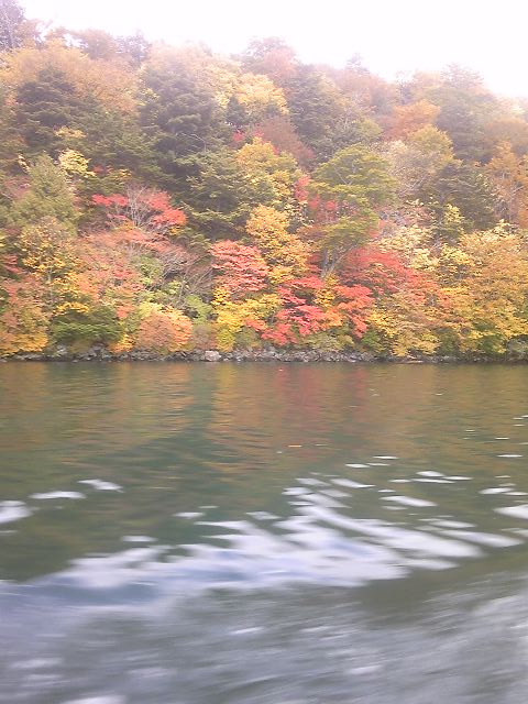 f0193680_2355892.jpg