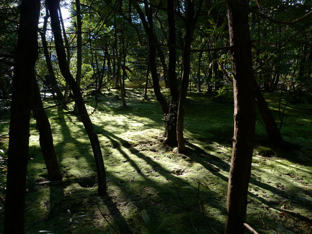 a0182281_17245615.jpg