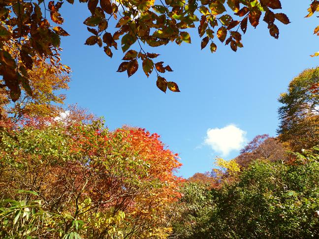 赤兎山　紅葉を見に・・・_d0182188_2272312.jpg