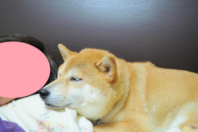 かぼちゃんとの距離_a0126590_0142469.jpg