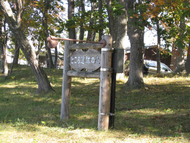 d0086191_23362061.jpg